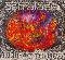 Astralasia: Away_with_the_fairies, Coverabbildung