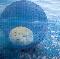 Brown, Terry Lee: Across the ocean rmx, Coverabbildung