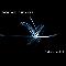 Solar Fields: Movements, Coverabbildung