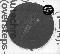 Autechre: Oversteps, Coverabbildung