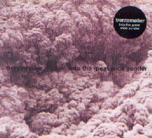 Trentem�ller: Into the great wide yonder, Coverabbildung