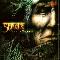 Shiva3: Space in the woods, Coverabbildung