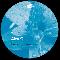 Alex_Q: Like_a_summer_rain_ep, Coverabbildung