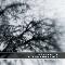 Solar Fields: Until we meet the sky, Coverabbildung