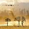 Odd Sequence: ...under the same sky, Coverabbildung