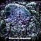 Braincell: Universal language, Coverabbildung