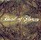 Band of Horses: Everything all the time, Coverabbildung