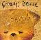 Crowded House: Intriguer, Coverabbildung