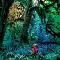 Gardner, Jacco: Cabinet of curiosities, Coverabbildung