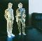 Air: Pocket symphony, Coverabbildung