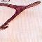 Wishbone Ash: Wishbone ash, Coverabbildung
