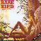 Rare Bird: Sympathy, Coverabbildung