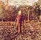 Allman Brothers Band, The: Brothers and sisters, Coverabbildung
