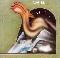Camel: Camel -1.-, Coverabbildung