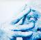 Porcupine Tree: In absentia, Coverabbildung