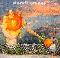 Electric Orange: Morbus, Coverabbildung