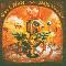 Gov't Mule: Deja voodoo, Coverabbildung