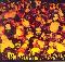 Siena Root: Far from the sun, Coverabbildung