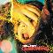 Flaming Lips: Embryonic, Coverabbildung