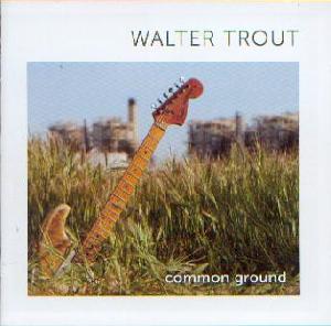 Trout, Walter: Common ground, Coverabbildung