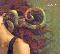 Rotor: 4, Coverabbildung