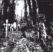 Ivy Garden of the Desert: Docile ep, Coverabbildung