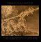 Electric Moon: The doomsday machine, Coverabbildung