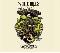 White Hills: Live at Roadburn Festival 2011, Coverabbildung