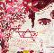 Vai, Steve: The story of light, Coverabbildung