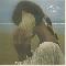 Allah-Las: Allah-Las, Coverabbildung