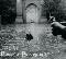 Drone: Doors of perception, Coverabbildung