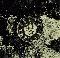 Dead-End Alley Band, The: Whispers of the night, Coverabbildung