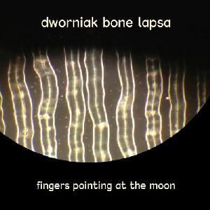 Dworniak Bone Lapsa: Fingers pointing at the moon, Coverabbildung