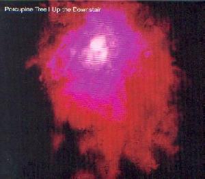 Porcupine Tree: Up the downstair, Coverabbildung