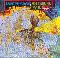 Savoy Brown: Hellbound train, Coverabbildung