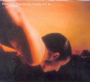 Porcupine Tree: On the sunday of life, Coverabbildung