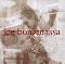Bonamassa, Joe: Blues deLuxe, Coverabbildung