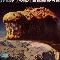 Blue Oyster Cult: Cult�saurus erectus, Coverabbildung